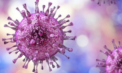 El citomegalovirus y la sordera