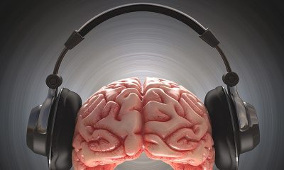 Sonido y cerebro